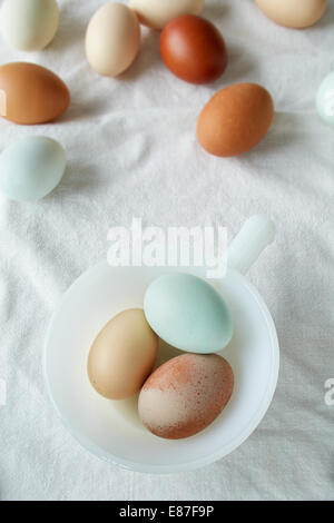 Farm fresh organic chicken eggs in a white bowl Stock Photo