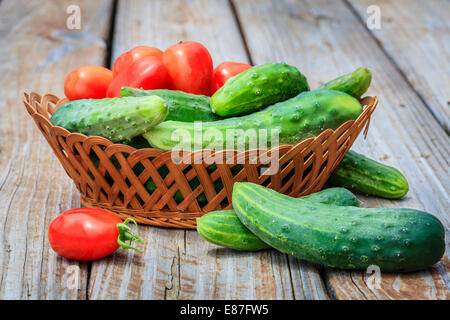 Basket with tomatoes and cucumbers fresh from the garden Stock Photo