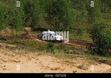 Races on a rally-raid - young forest. Stock Photo