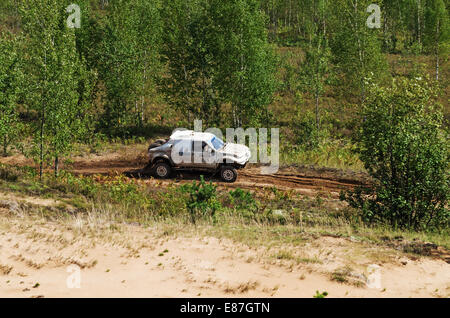 Races on a rally-raid - young forest. Stock Photo