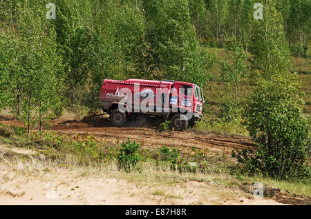 Races on a rally-raid on young forest. Stock Photo