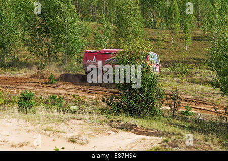 Races on a rally-raid on young forest. Stock Photo