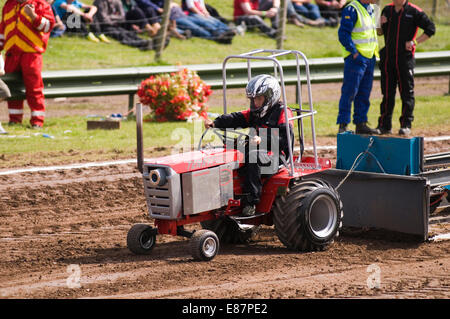 Compact diesel pulling online tractor