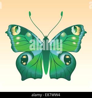 Vector Illustration of detailed Brightly coloured butterfly. Stock Vector