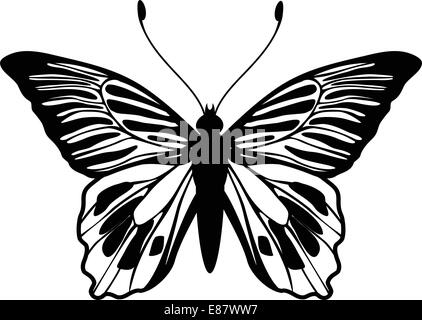 Vector Illustration of detailed butterfly silhouette. Stock Vector