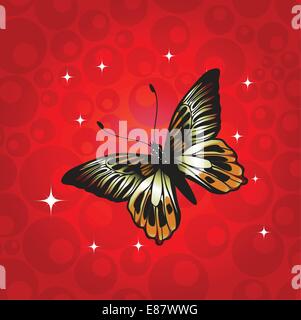 Vector Illustration of detailed Brightly coloured butterfly on the funky red background. Stock Vector