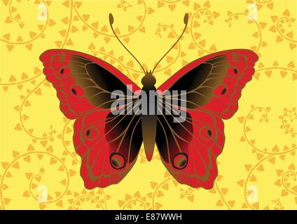 Vector Illustration of detailed Brightly coloured butterfly on the funky yellow background. Stock Vector