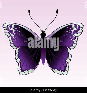 Vector Illustration of detailed Brightly coloured butterfly. Stock Vector