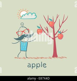 a man stands with a tree on which apples Stock Vector