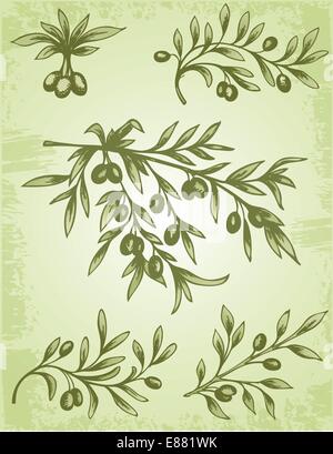 Olive branch. Hand drawn vector scetch. Food illustration Stock Vector ...