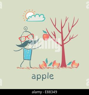 a man stands with a tree on which one apple Stock Vector