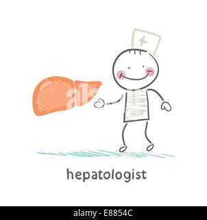 hepatologist  with the liver Stock Vector