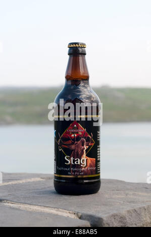 A bottle of Stag bitter, by the Cairngorm Brewery Company. Stock Photo