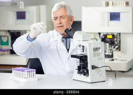Scientist Analyzing Microscope Slide In Lab Stock Photo