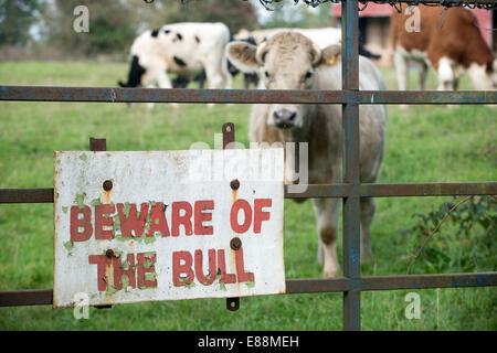 Beware of the bull signage in East Sussex Stock Photo - Alamy