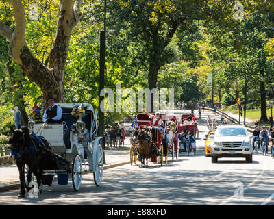 Recreational Activity, East Drive, Central Park, NYC Stock Photo