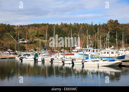 Northeast Harbor, Mount Desert Island, Maine, New England, United States of America, North America Stock Photo