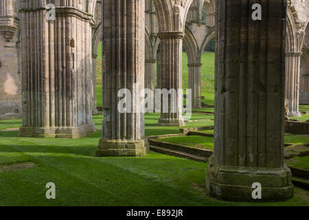 The ruins of the Cistercian order's Rievaulx Abbey in North Yorkshire. Stock Photo