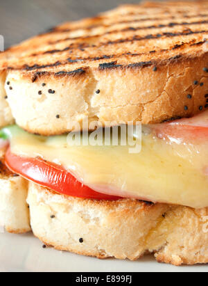 Grilled sandwich with ham and melted cheese Stock Photo