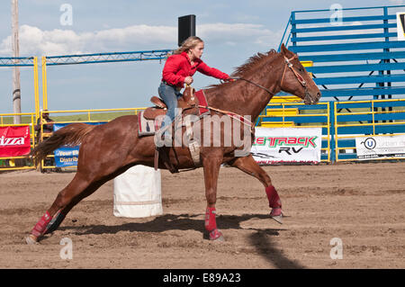 Young cowgirl riding fast during barrel racing, Airdrie Rodeo, Airdrie, Alberta, Canada Stock Photo