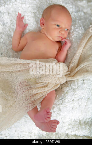 Newborn baby boy Stock Photo