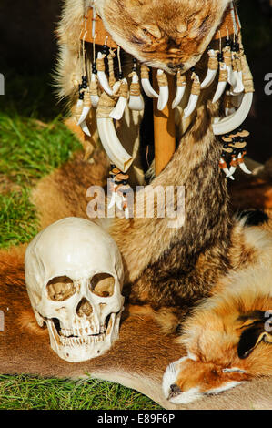 Archeology display at Countryside Live show, London England United Kingdom UK Stock Photo