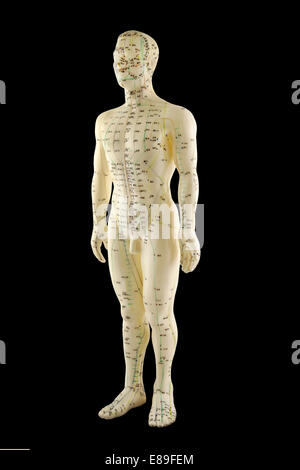 Acupuncture model showing Traditional Chinese Medicine Meridians and acupuncture points on male figure