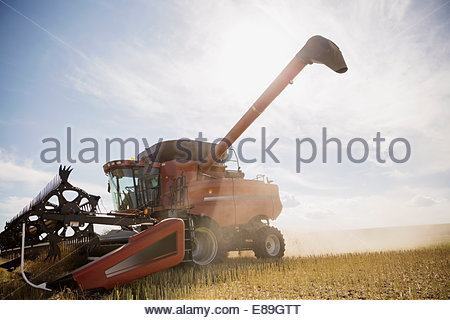 Combine harvester working in sunny crop field