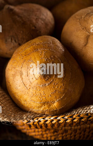Raw Organic Brown Jicama in a Basket Stock Photo