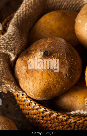 Raw Organic Brown Jicama in a Basket Stock Photo
