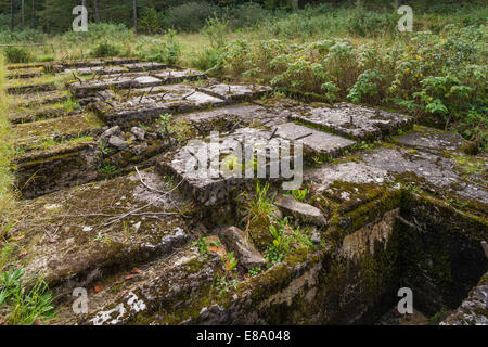 Secret Führer headquarters for Hitler, foundations of the generator plant, bunker with 25 tunnels, built 1944-1945 by Stock Photo