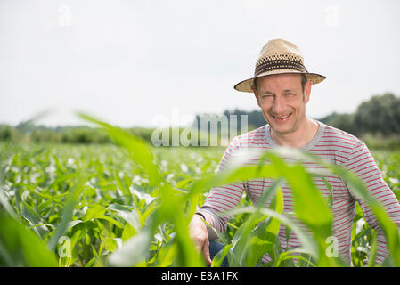 Mature man worried about his corn field Stock Photo