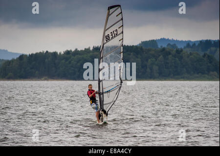 dog on the windsurf Stock Photo