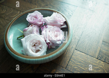 Roses in ceramic bowl, close up Stock Photo