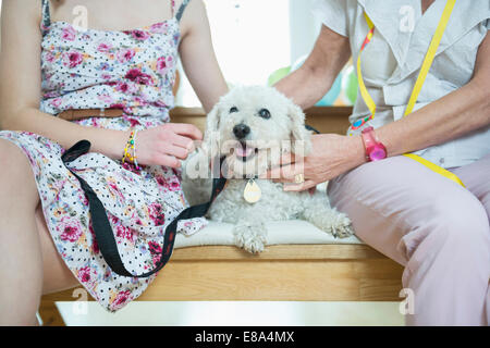 Grandmother and grandchild sitting on bench with dog Stock Photo