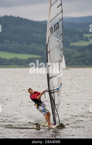 dog on the windsurf Stock Photo