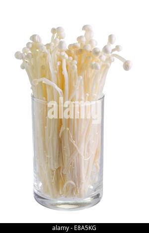 Enokitake Mushroom, golden needle mushroom or lily mushroom in the glass on white background Stock Photo