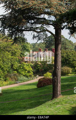 RHS Wisley gardens in autumn. Surrey, England Stock Photo