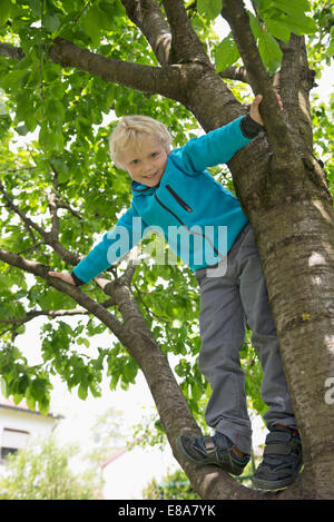 Blonde smiling boy climbing in cherry tree Stock Photo