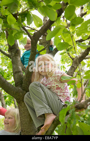 Three small kids in garden sitting in cherry tree Stock Photo
