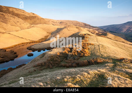 Evening sunlight on the hills below Alport castles in the Peak District, England. Warm glowing grasses and reeds. Stock Photo