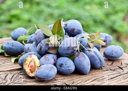 Plums on an old wooden table in the garden. Stock Photo