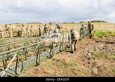 RIR soldiers build a bridge to span a 10m gap in under 2 minutes. Stock Photo