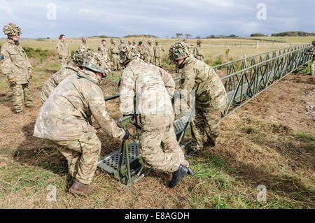 RIR soldiers build a bridge to span a 10m gap in under 2 minutes. Stock Photo