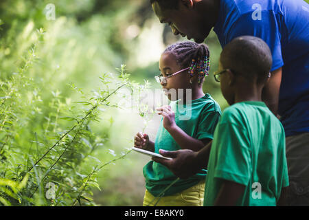 Father with daughter and son looking at plants in forest eco camp