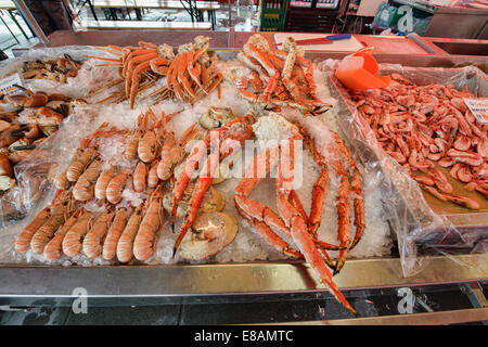 giant shrimp and lobster in the seafood market in Bergen, Norway Stock Photo