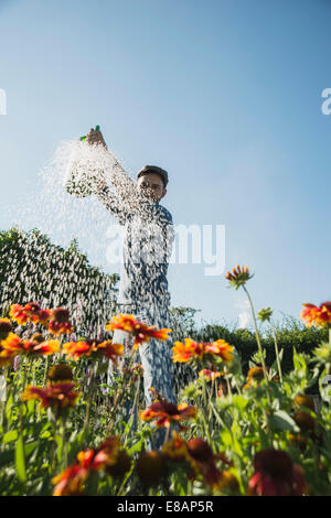 Gardener watering flowers Stock Photo