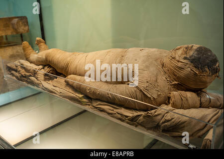 Italy Piedmont Turin Egyptian Museum mummy Stock Photo