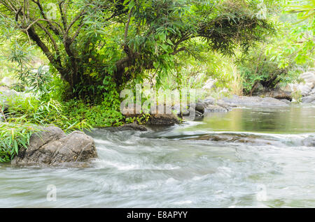 Streams in forest at Kaeng Som Maw, Small waterfall at tropical forests in Ratchaburi Province of Thailand. Stock Photo