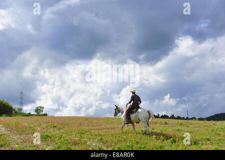 Young man in cowboy gear riding horse in field Stock Photo